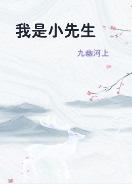我是小先生