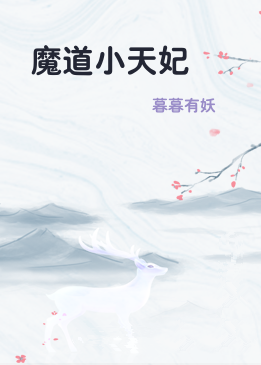 魔道小天妃