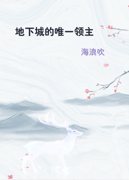 地下城的唯一领主