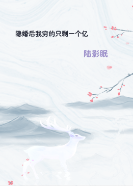 隐婚后我穷的只剩一个亿