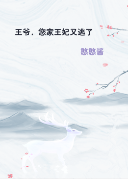 王爷，您家王妃又逃了