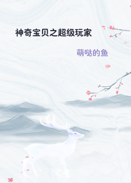 神奇宝贝之超级玩家