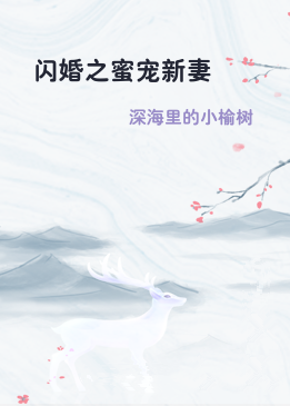 闪婚之蜜宠新妻