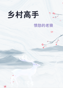 乡村高手
