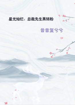 星光灿烂：总裁先生黑转粉