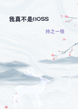 我真不是BOSS
