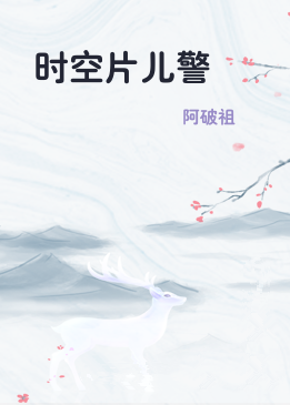 时空片儿警