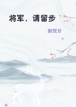 将军，请留步