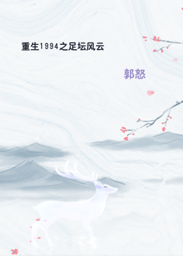 重生1994之足坛风云