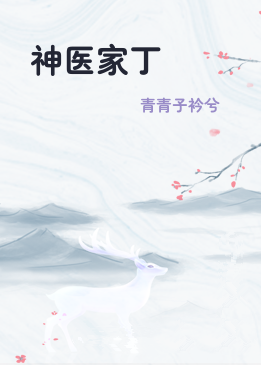 神医家丁