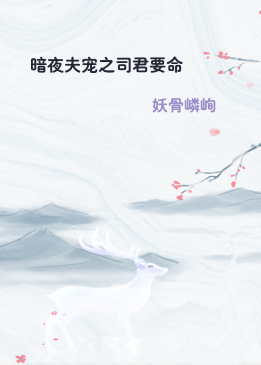 暗夜夫宠之司君要命
