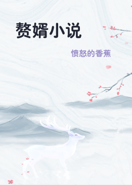 赘婿小说