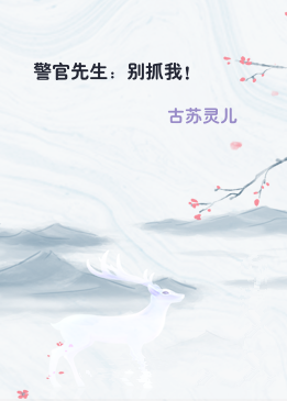 警官先生：别抓我！