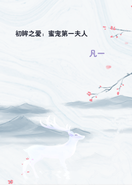 初眸之爱：蜜宠第一夫人