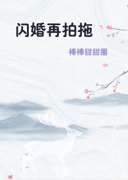 闪婚再拍拖