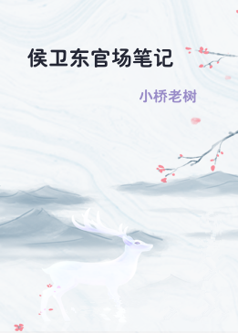 侯卫东官场笔记