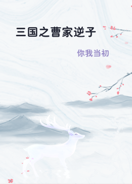 三国之曹家逆子