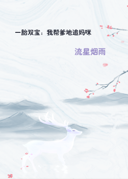 一胎双宝：我帮爹地追妈咪