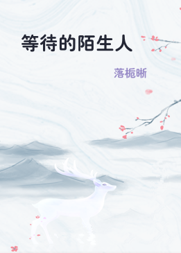 等待的陌生人