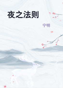 夜之法则
