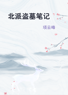 北派盗墓笔记