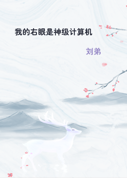 我的右眼是神级计算机