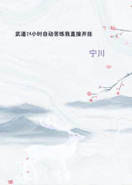 武道24小时自动苦练我直接开挂