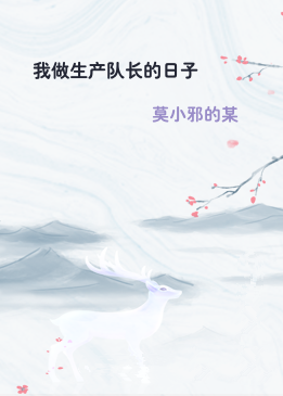 我做生产队长的日子