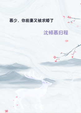 慕少，你前妻又被求婚了