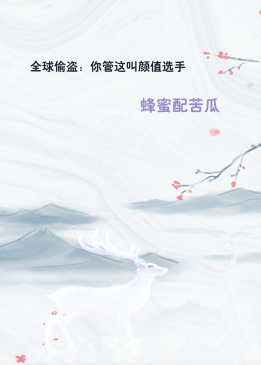 全球偷盗：你管这叫颜值选手