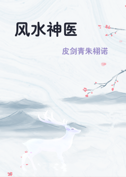 风水神医