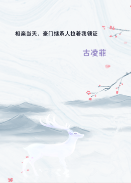 相亲当天，豪门继承人拉着我领证