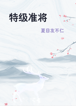 特级准将