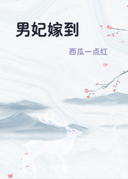 男妃嫁到