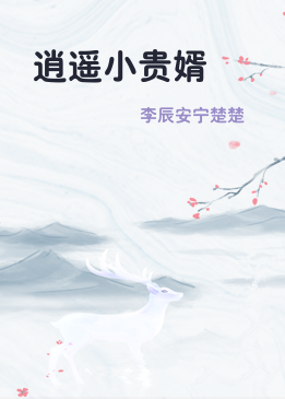 逍遥小贵婿