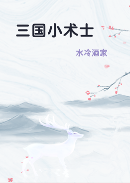 三国小术士