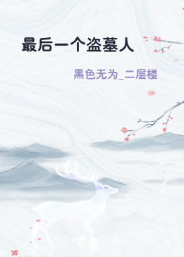 最后一个盗墓人