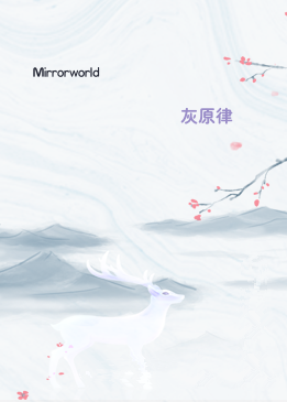 Mirrorworld