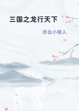 三国之龙行天下