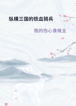 纵横三国的铁血骑兵