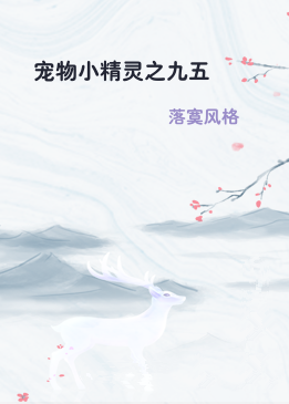 宠物小精灵之九五