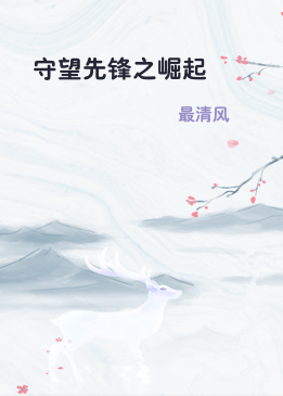 守望先锋之崛起