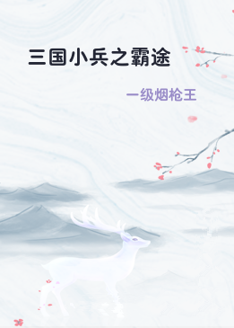 三国小兵之霸途