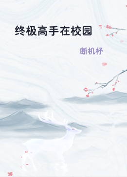 终极高手在校园