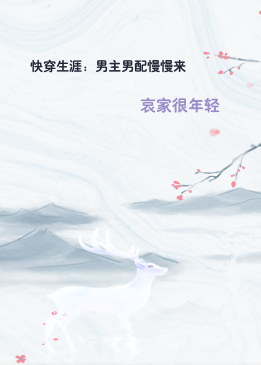 快穿生涯：男主男配慢慢来