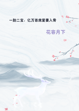 一胎二宝：亿万首席爱妻入骨