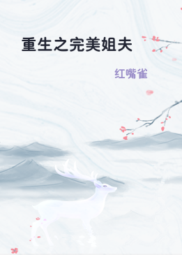 重生之完美姐夫