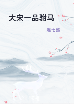 大宋一品驸马