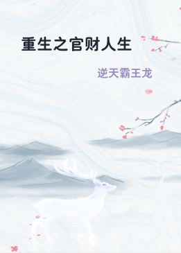 重生之官财人生