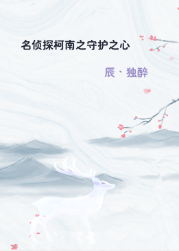 名侦探柯南之守护之心